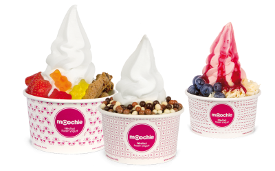 Frozen Yogurt